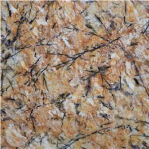Mascarello Gold Granite Tile
