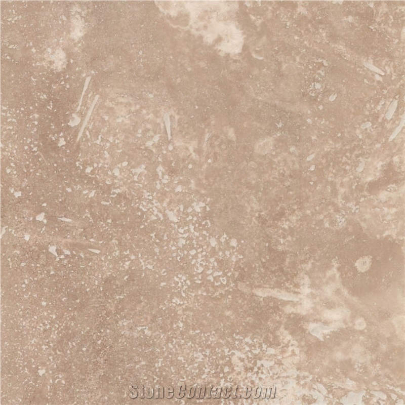 Medium Travertine Tile