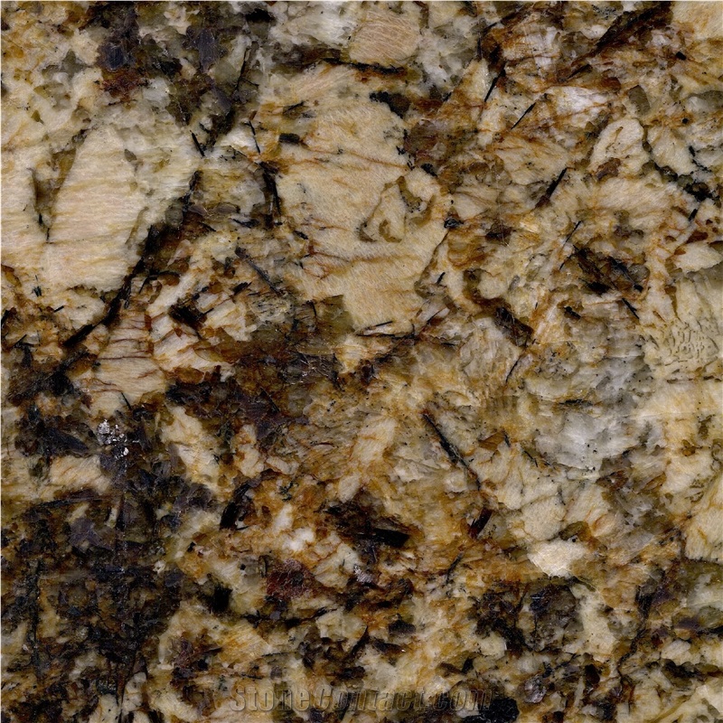 Medusa Gold Granite importance=