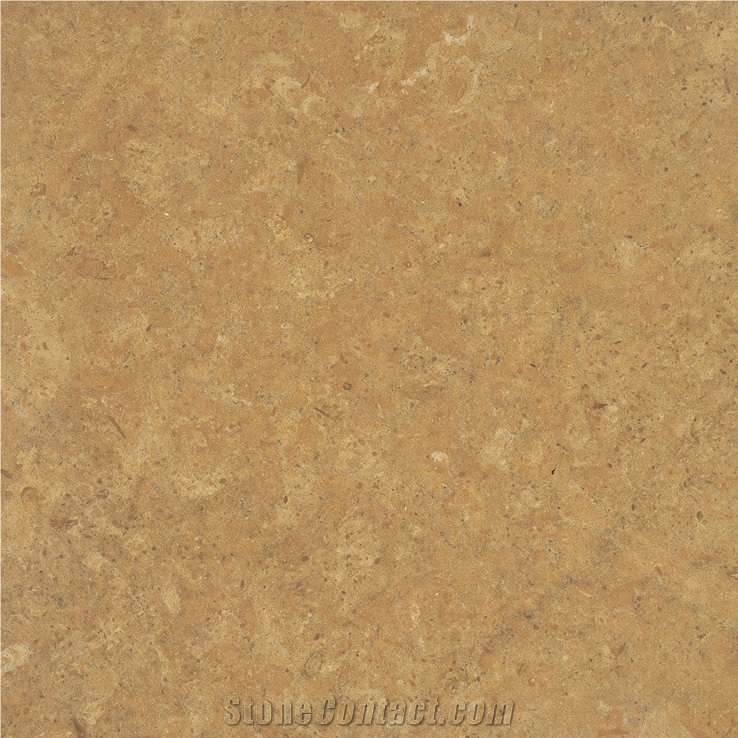 Mekeginsky Limestone importance=