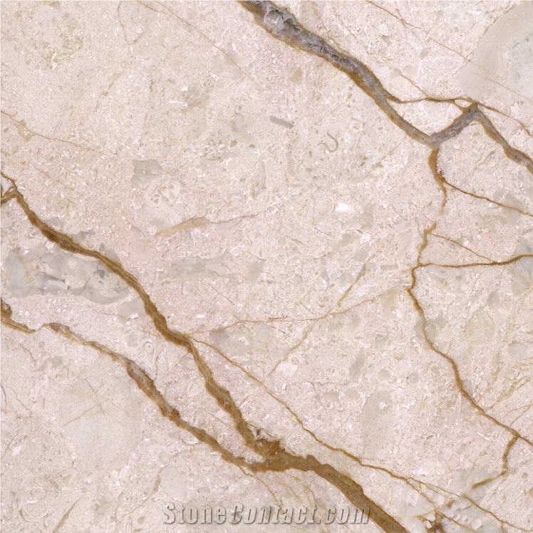 Melisa Jin Marble importance=