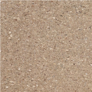 Mesollogi Beige