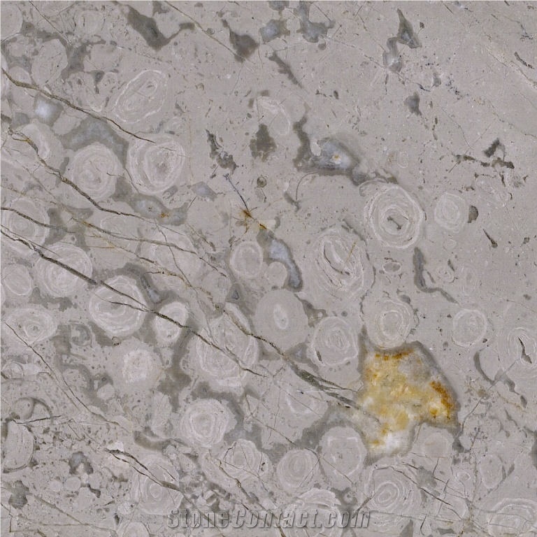 Meya Grey Marble Tile