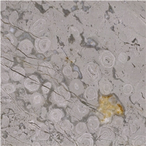 Meya Grey Marble Tile