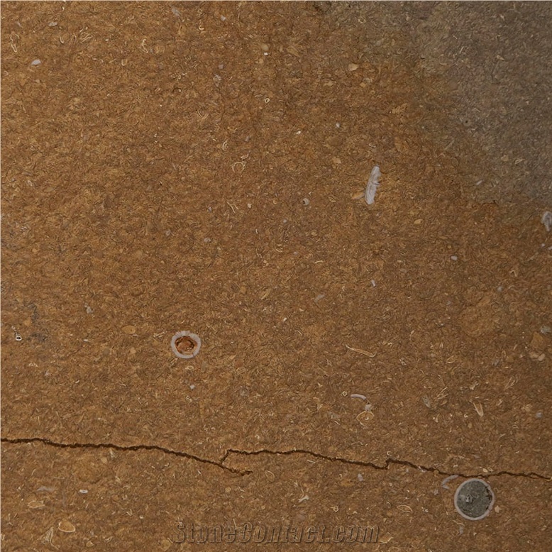Milas Green Brown Limestone importance=
