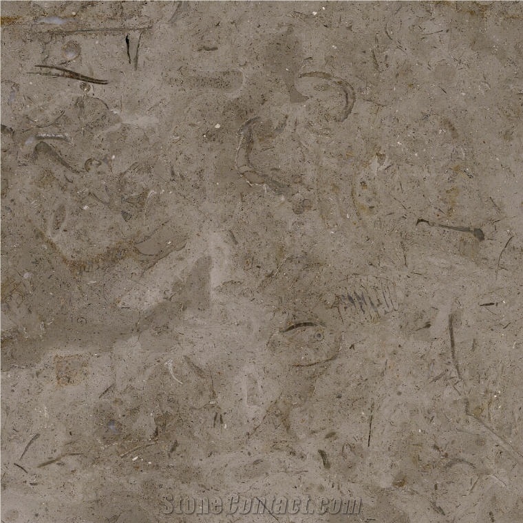 Millie Brown Limestone importance=