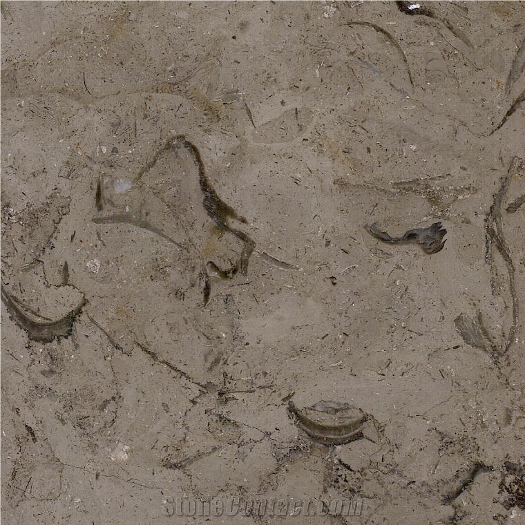 Millie Brown Limestone Tile