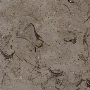 Millie Brown Limestone Tile