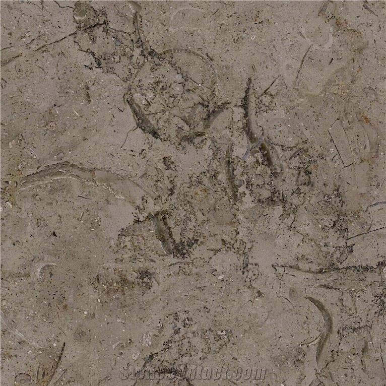 Millie Brown Limestone Tile