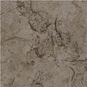 Millie Brown Limestone Tile