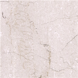 Mioni Beige Marble