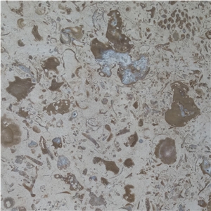 Moca Creme Fossilina