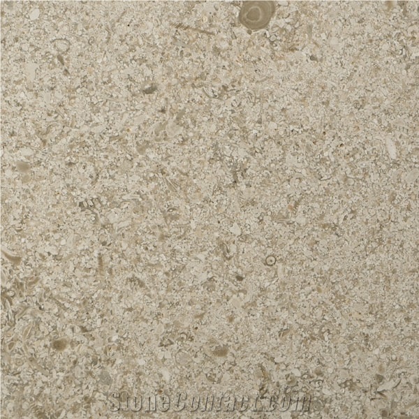 Moca Creme Grossa Limestone Tile