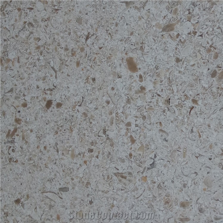 Moca Fatima Tile