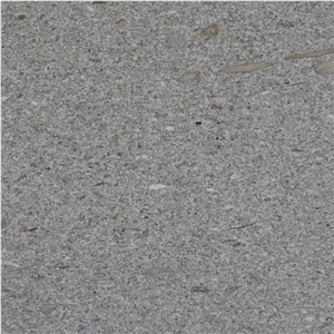 Moca Silver Limestone