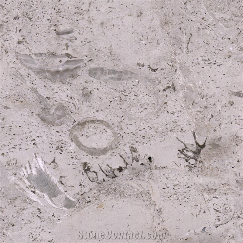 Mocha Brown Tile