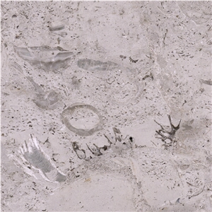 Mocha Brown Tile