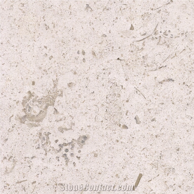 Moleanos Caravelle Limestone Tile