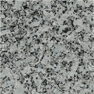 Mongolian White
