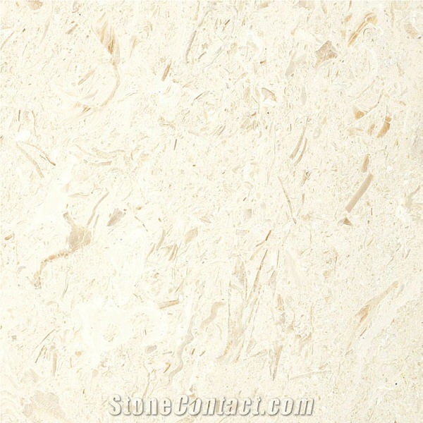 Moonlight Beige Marble importance=