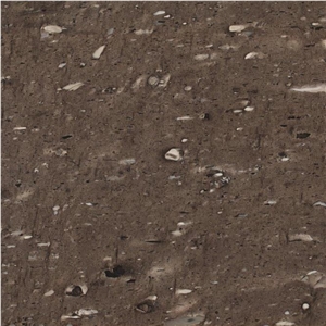Moonrock Quartzite