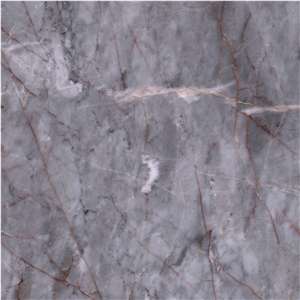 Multicolored Gray Marble