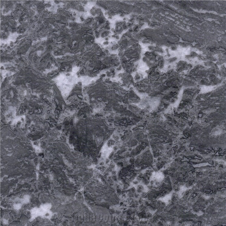 Musang King Marble Tile