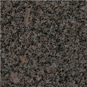 Nadella Brown Granite