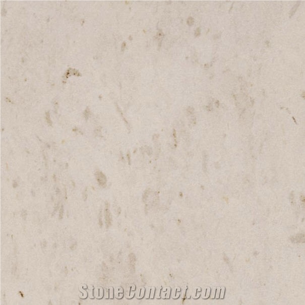 Navy Beige importance=