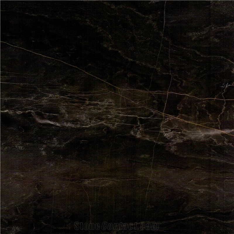 Negro Aurora Marble importance=