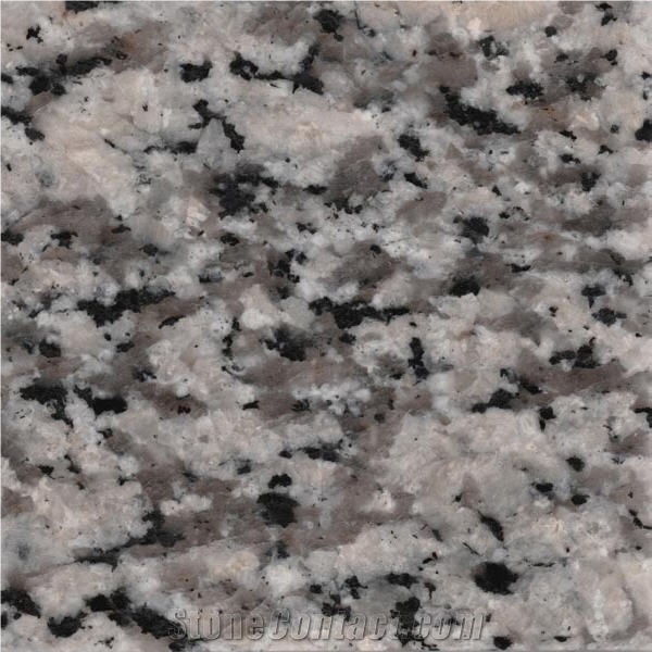 Nehbandan Cream Granite importance=
