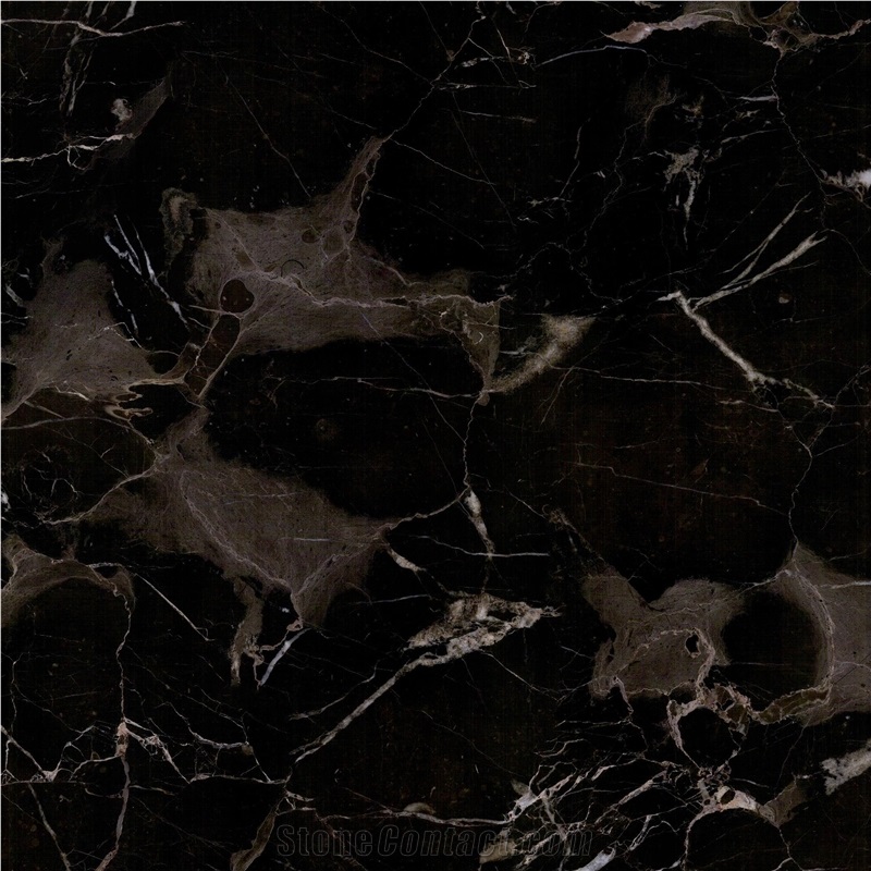 Nero Marfilia Marble importance=