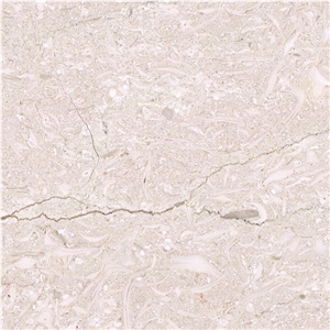 New Beige Limestone