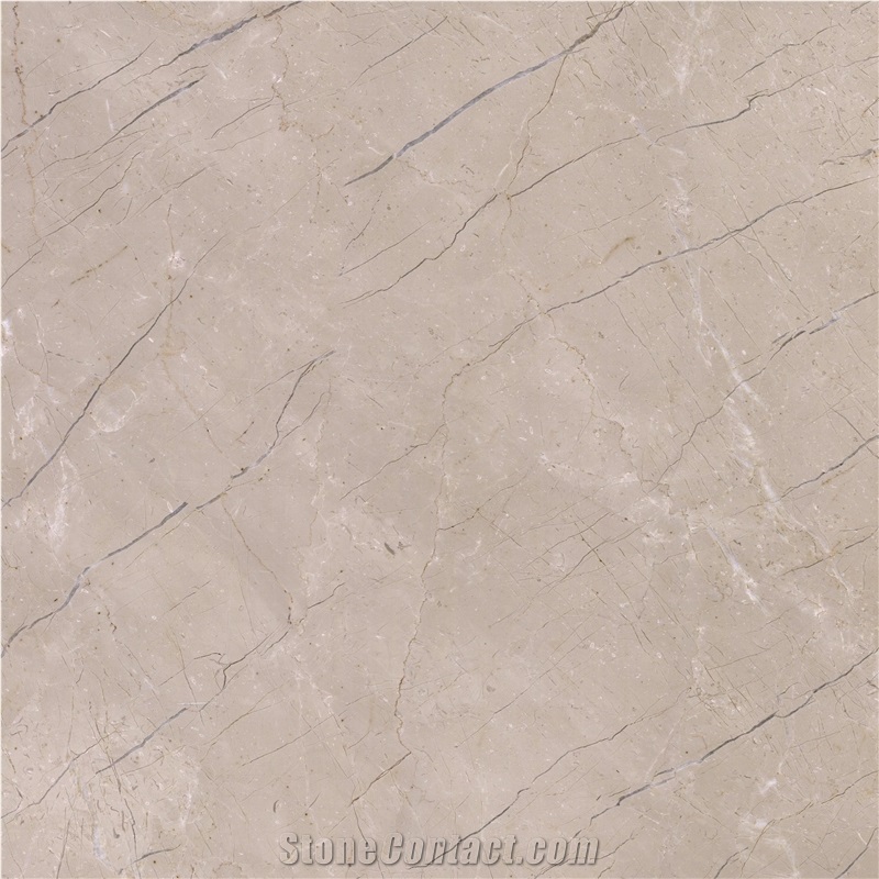 New Century Beige Marble importance=
