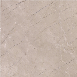 New Century Beige Marble