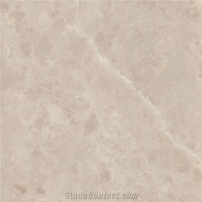New Cream Paw importance=