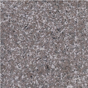 New G664 Granite