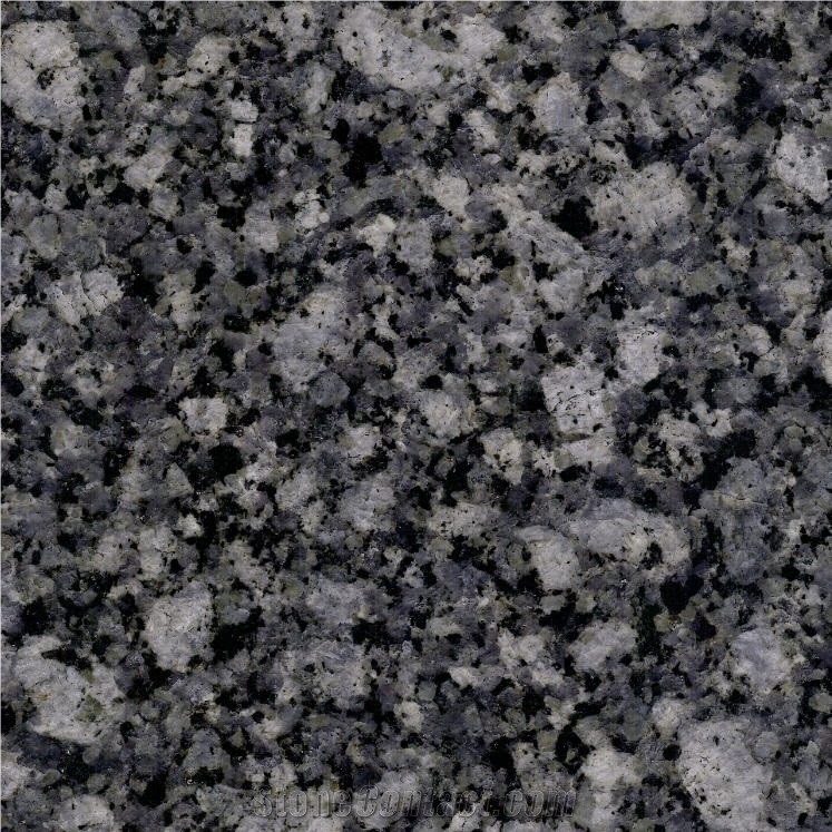 New Oyster Pearl Granite importance=