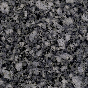 New Oyster Pearl Granite
