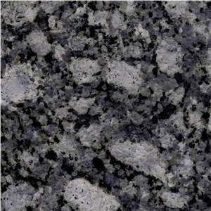 New Oyster Pearl Granite Tile