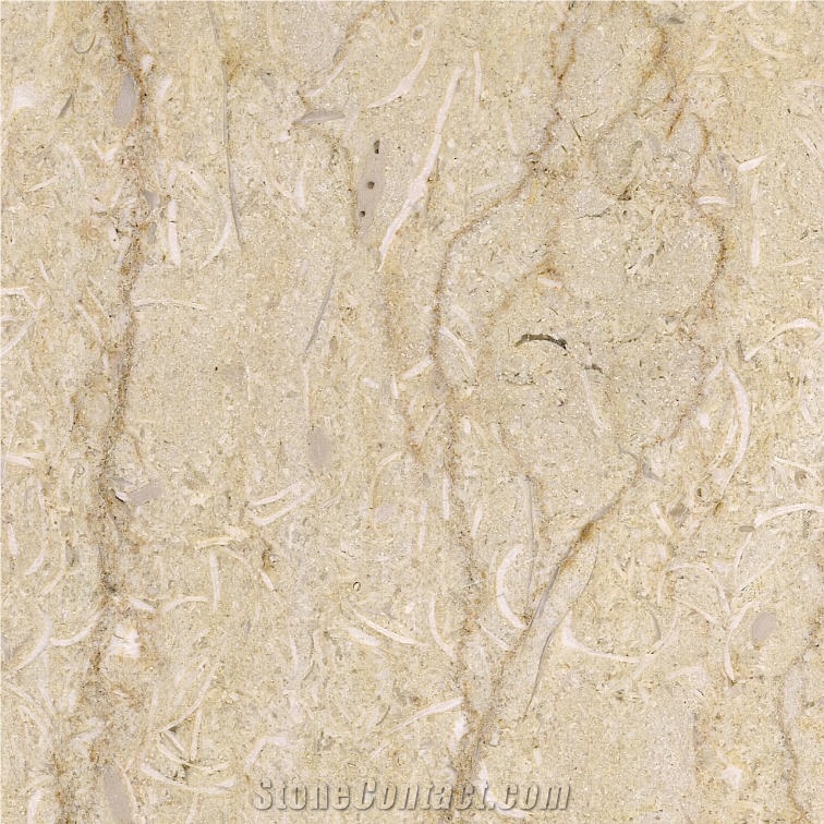New Selvia Marble Tile