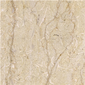 New Selvia Marble Tile