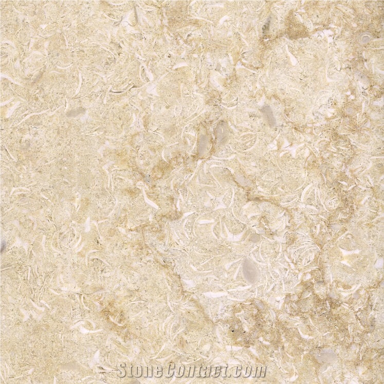 New Shell Marble importance=