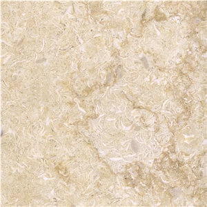 New Shell Marble