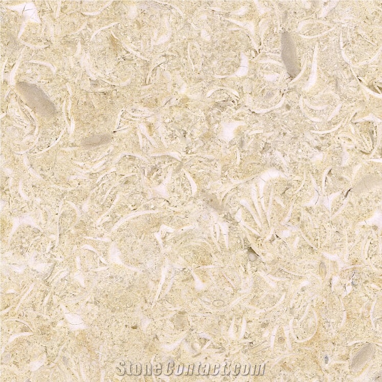 New Shell Marble Tile