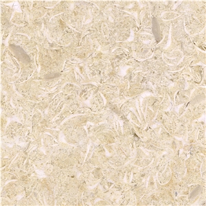 New Shell Marble Tile