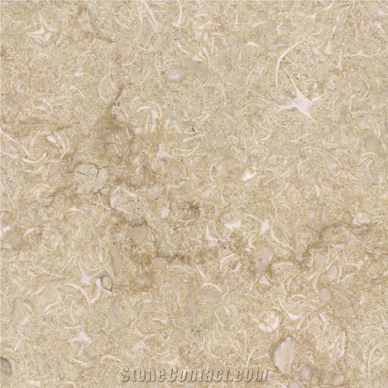 New Sunny Marble importance=