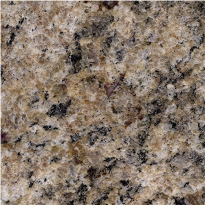 New Venetian Gold Granite Tile
