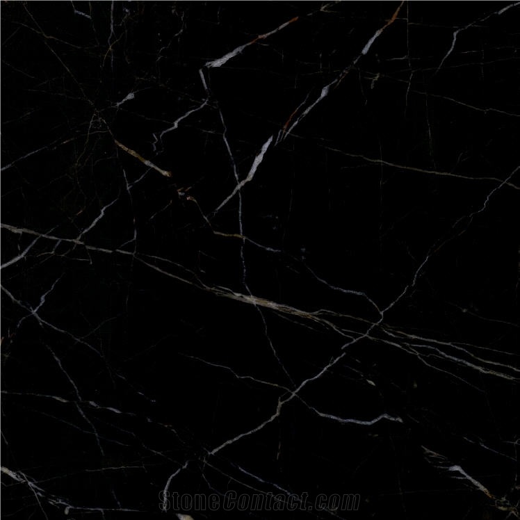 Noir Khenifra Marble importance=