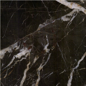 Noir St. Laurent Marble